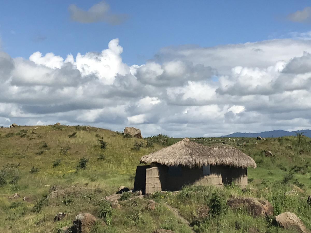 Osiligilai Maasai Lodge Sanya Juu 外观 照片